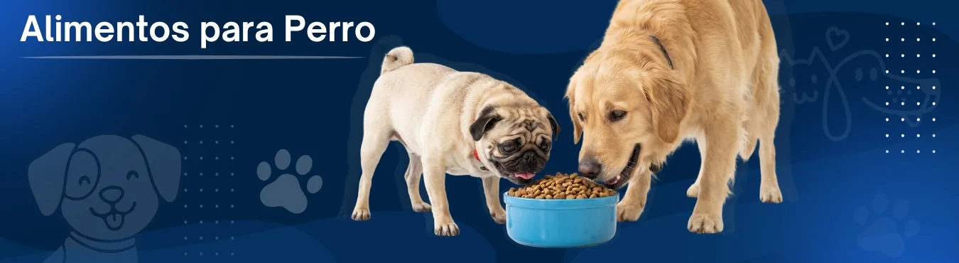 Banner Alimentos para Perro