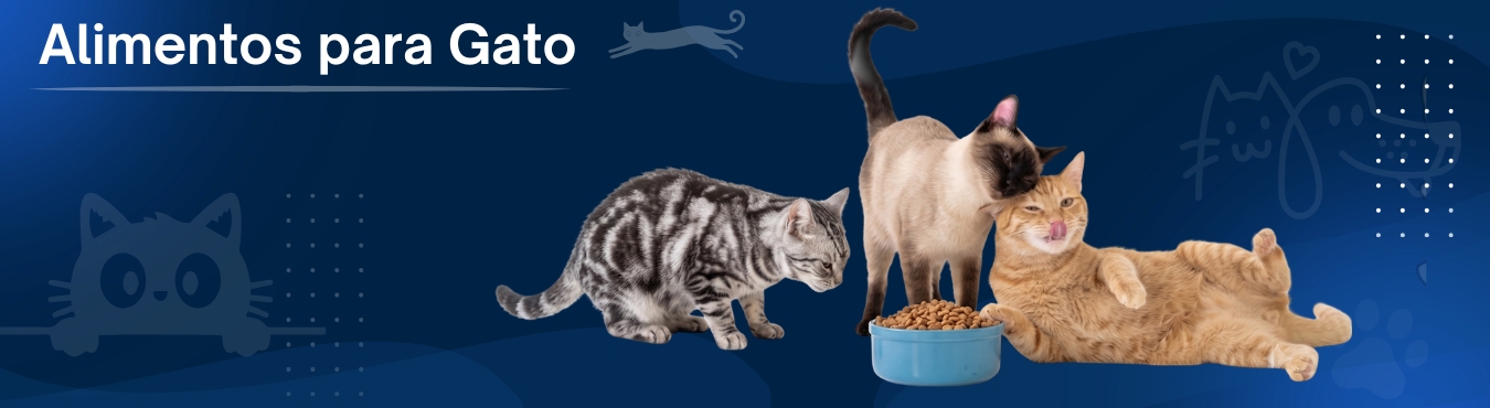 Banner Alimentos para Perro