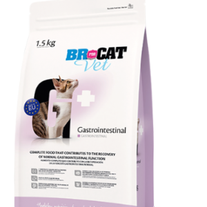 Br For Cat Vet Gastrointestinal