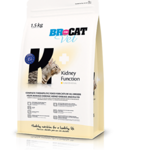 Br For Cat Vet Kidney Function
