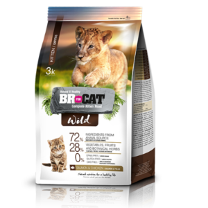 Br For Cat Wild Kitten