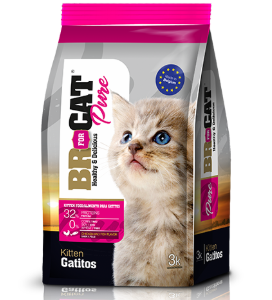 Br For Cat Pure Gatitos