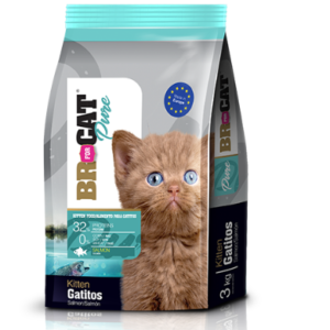 Br For Cat Pure Gatitos Salmón