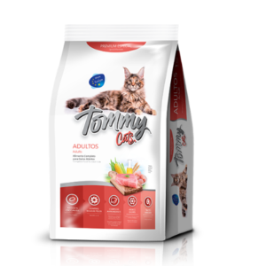 Tommy Cats Adultos