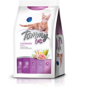 Tommy Cats Adultos Castrados