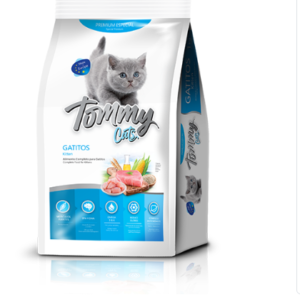 Tommy Cats Gatitos